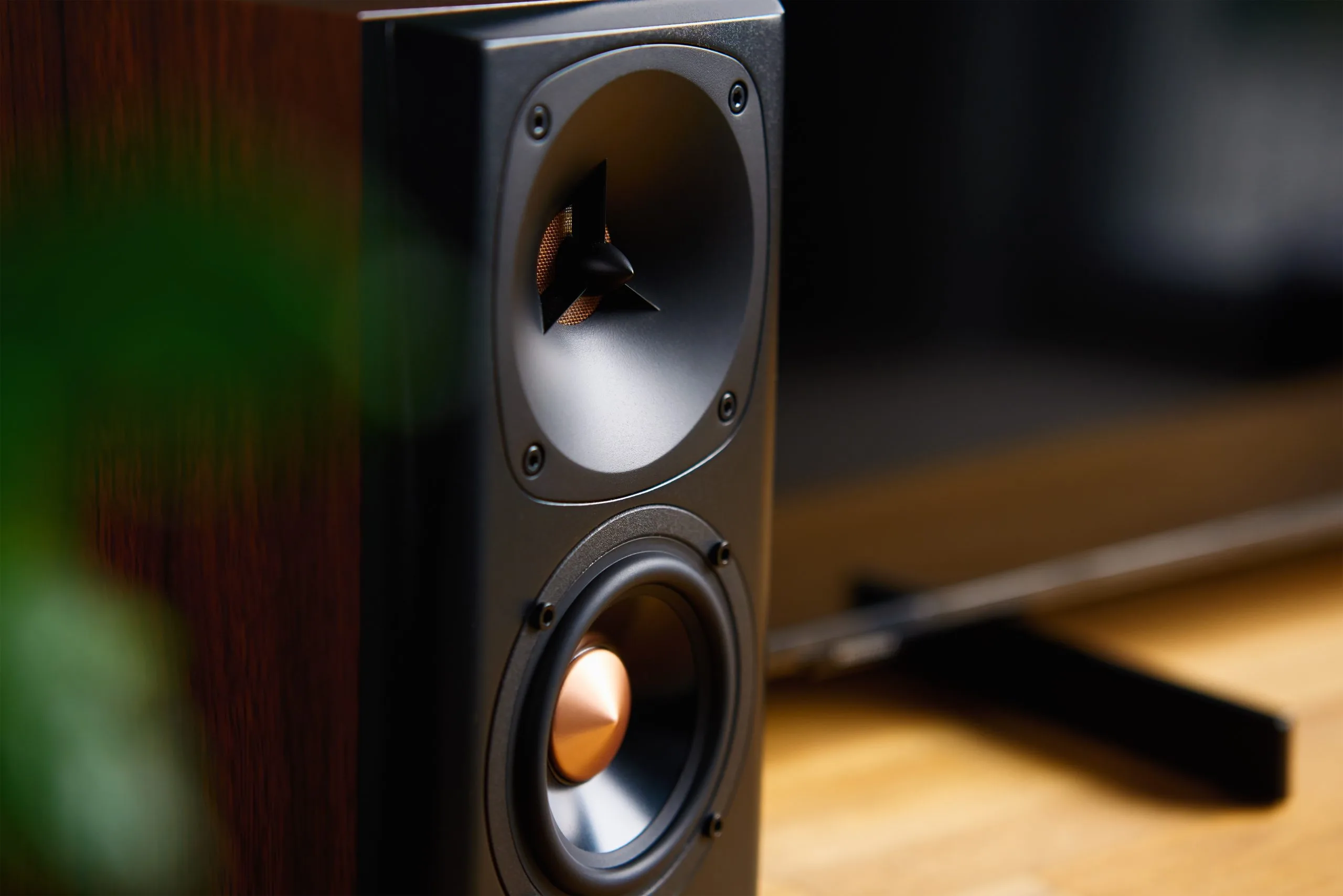 Custom audio visual systems feature a sleek wooden speaker beside a blurred television
