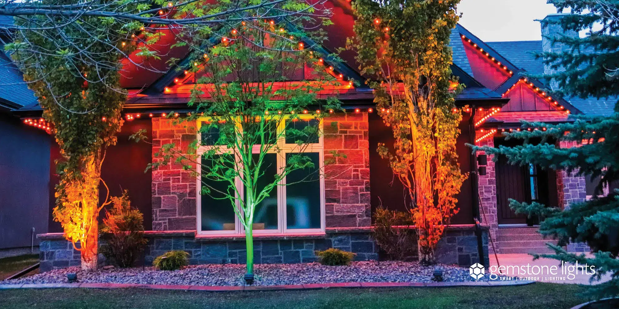 A house radiates vibrant colors from festive lights, illuminating the surrounding trees and landscape
