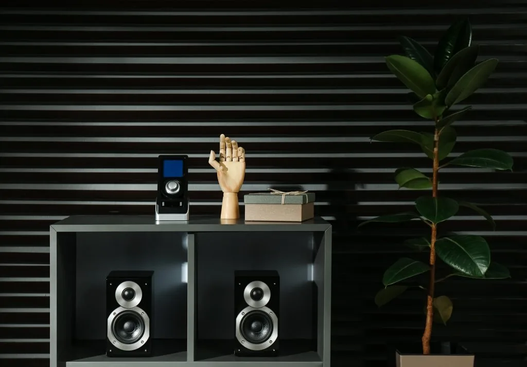 A decorative shelf displays speakers, a plant, and a hand sculpture